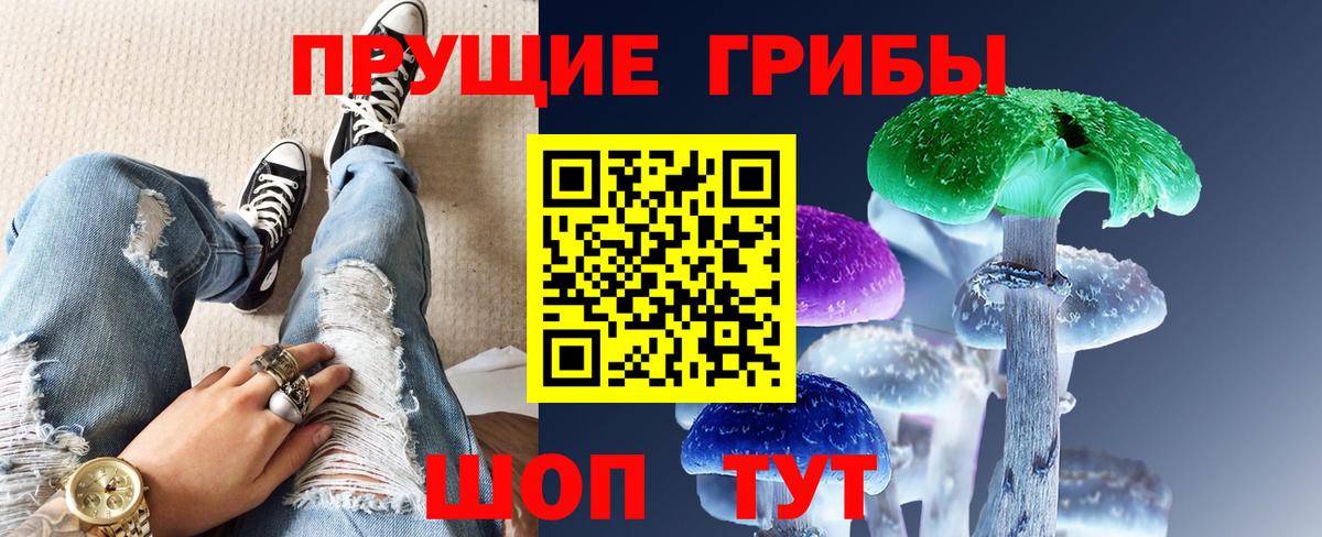 Галлюциногенные грибы Psilocybe Рассказово